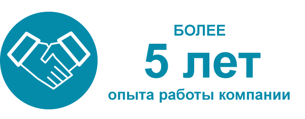 20 летний опыт работы. Более 5 лет на рынке. 5 Лет на рынке иконка. Опыт работы 5 лет. Значок на рынке более 5 лет.